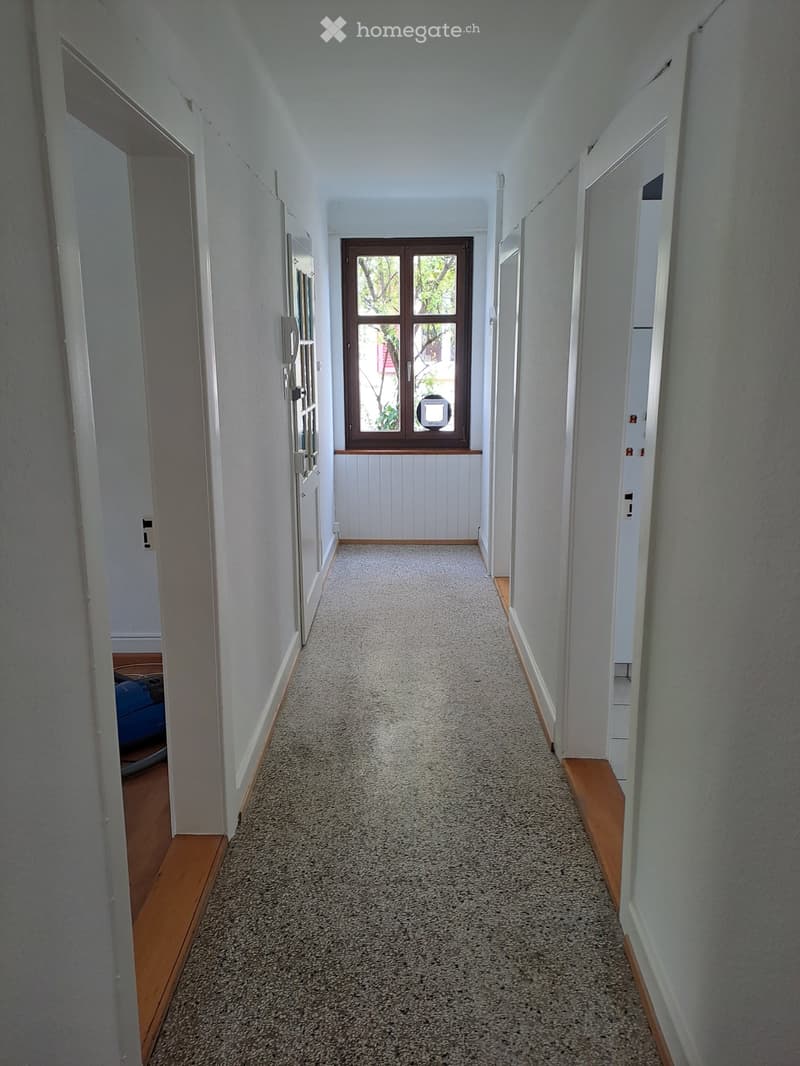 A long, narrow hallway with white walls, a speckled gray carpet, and wooden baseboards. A window with brown framing is visible at the far end, and doors line both sides.