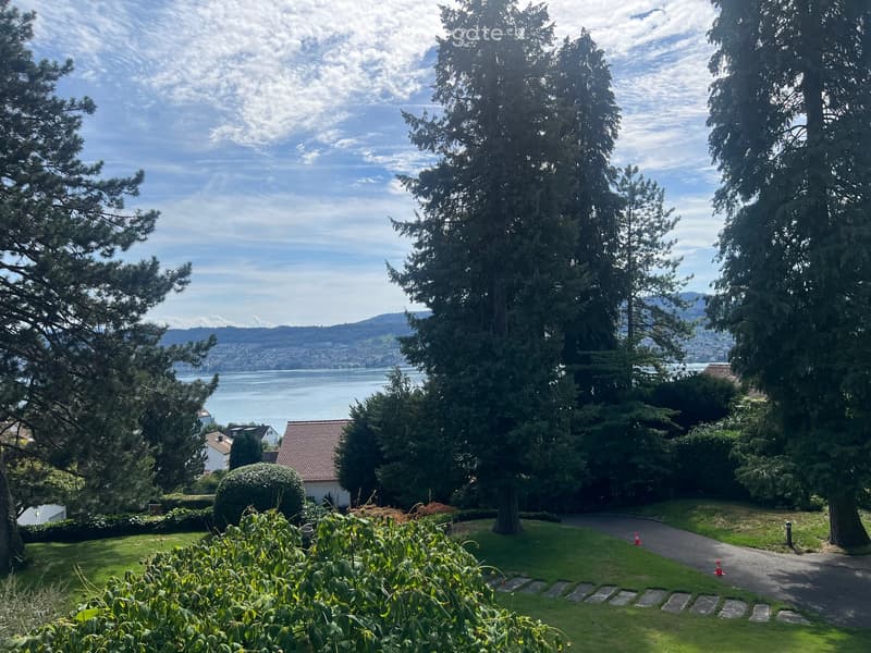 Lush garden with tall trees, a winding pathway, and a scenic view of a lake and distant mountains.