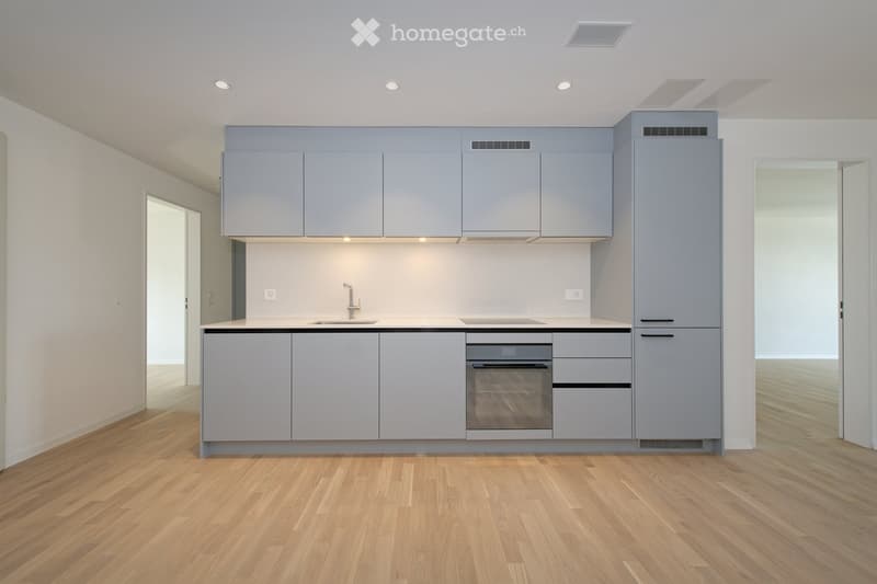 Modern kitchen with grey cabinets, wooden flooring, and built-in appliances including a sink, faucet, and oven.