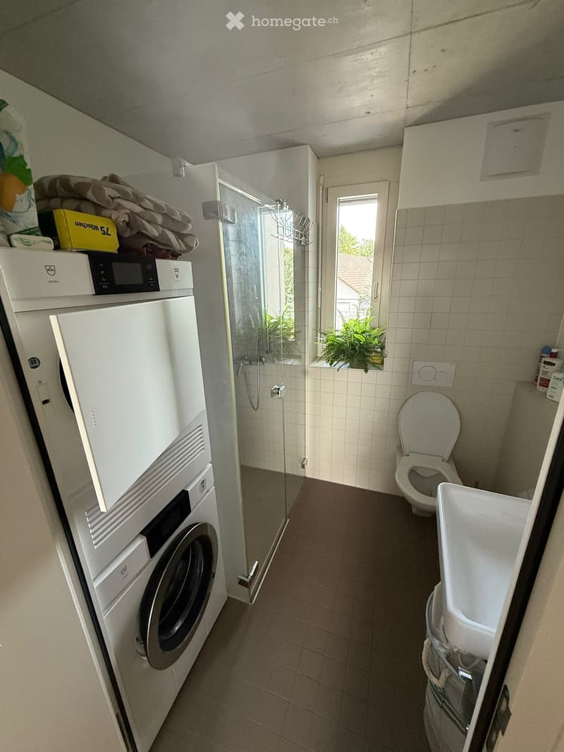 Compact bathroom with a washing machine, toilet, sink, and a glass-enclosed shower. A small window with a plant provides natural light.