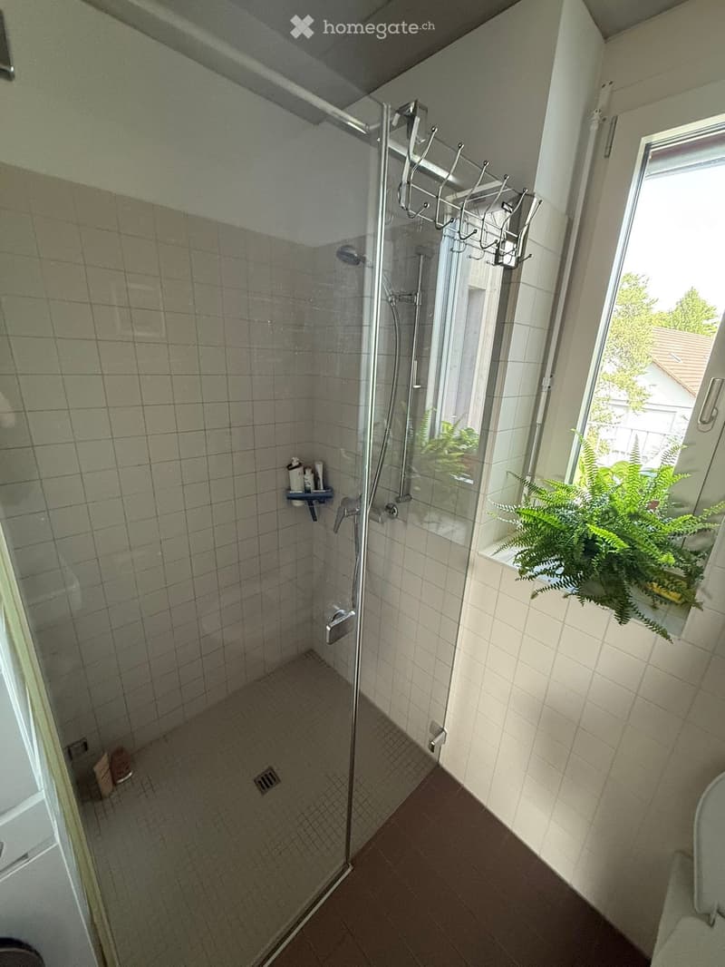 Modern shower area with glass enclosure, tiled walls, and a small shelf holding toiletries. A plant is visible on the windowsill.