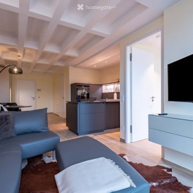 Modern open-plan living and dining area with a blue sofa, coffee table, and a sleek kitchen island featuring a dishwasher. The space includes a television mounted on the wall and a stylish floor lamp.