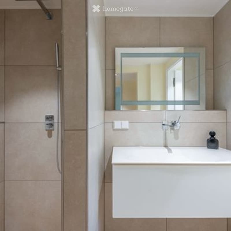 Modern bathroom with a white sink, large mirror, and a shower area with a glass enclosure.