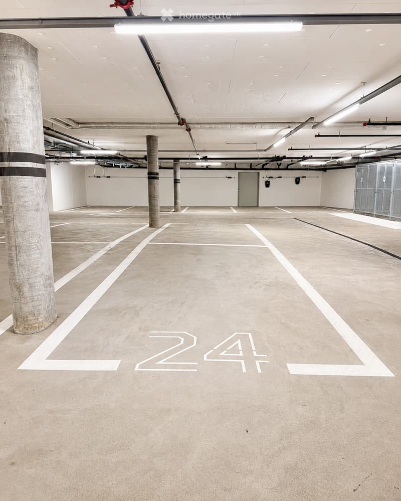 {"type": "Parking place", "objects": [], "description": "Empty underground parking area with marked parking spaces, concrete pillars, and fluorescent lighting.", "localized_descriptions": {"EN": "Empty underground parking area with marked parking spaces,