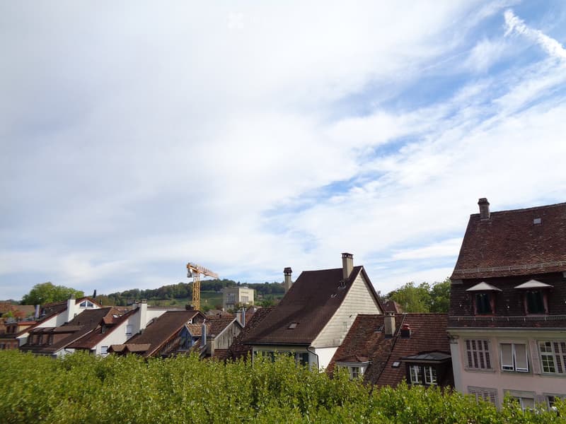 Residential neighborhood with multiple houses featuring red-tiled roofs, chimneys, and surrounding greenery.