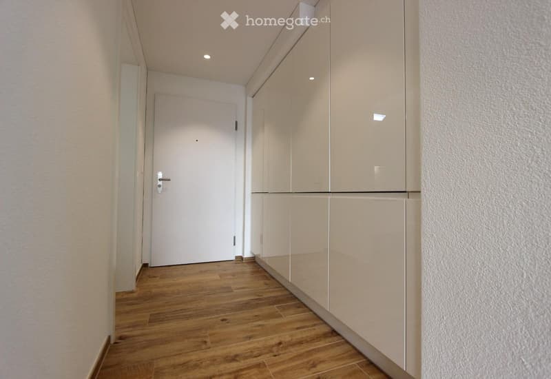 Modern hallway with wooden flooring, white walls, built-in storage units, and recessed lighting.