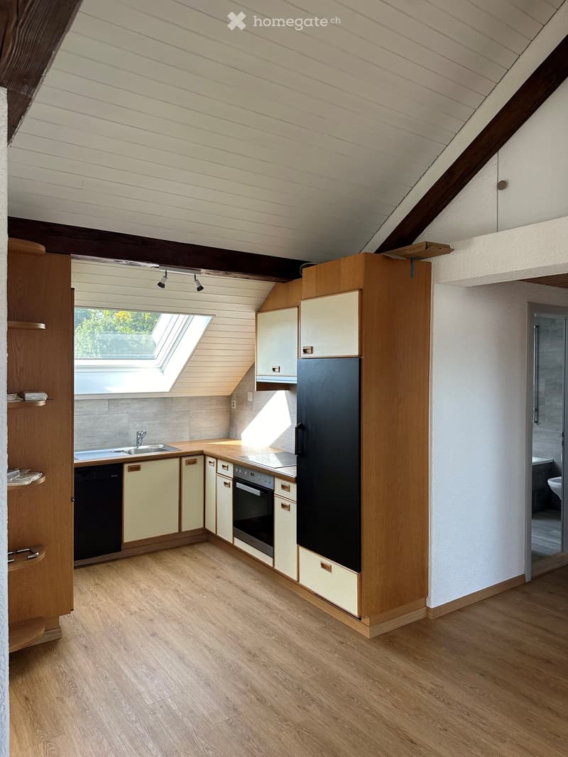 Geräumige Dachwohnung in Aadorf (7)