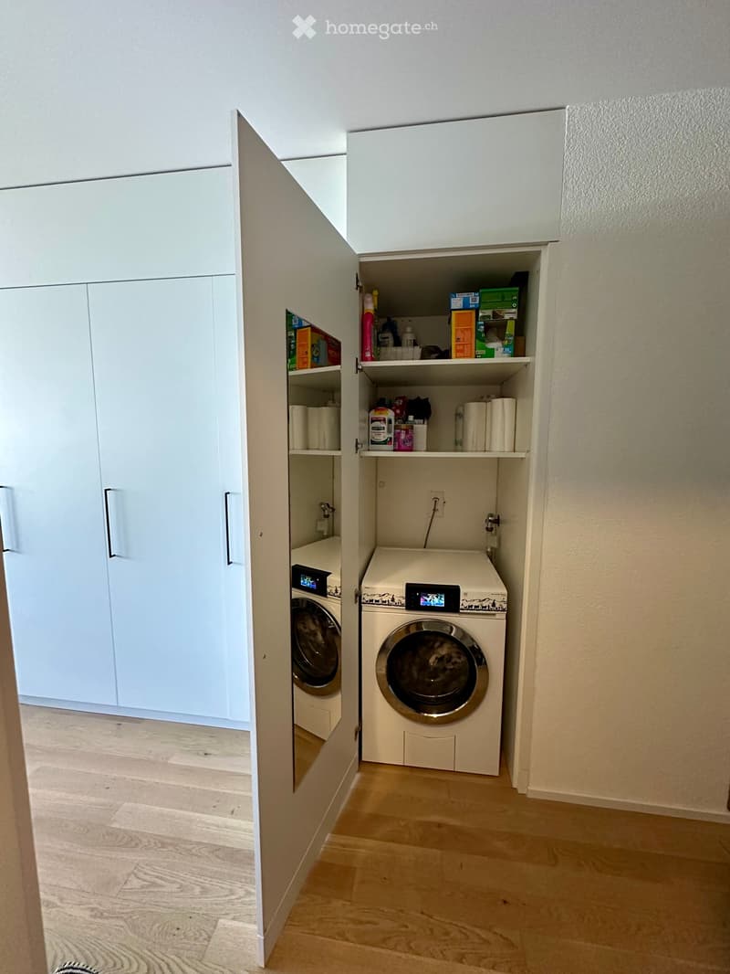 Modern, compact laundry area with a washing machine, dishwasher, and white cabinetry with shelves for cleaning supplies.