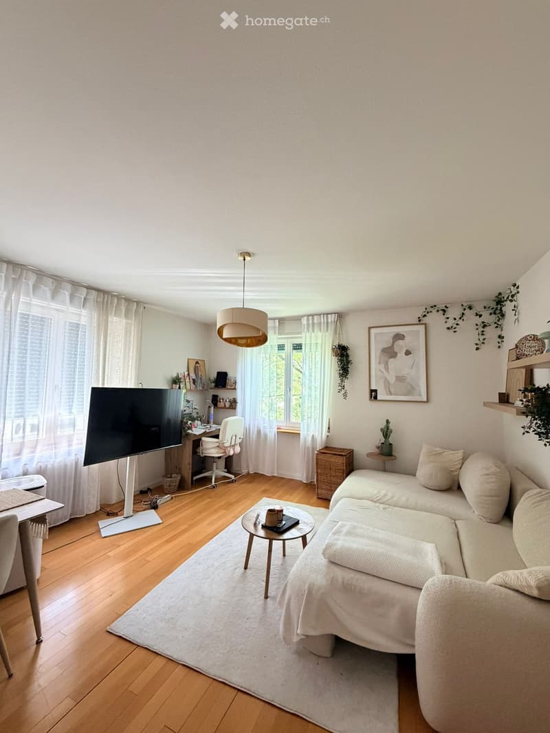 A modern living room with a white sofa, coffee table, and a large screen. The room features wooden flooring, large windows with white curtains, and a hanging lamp.