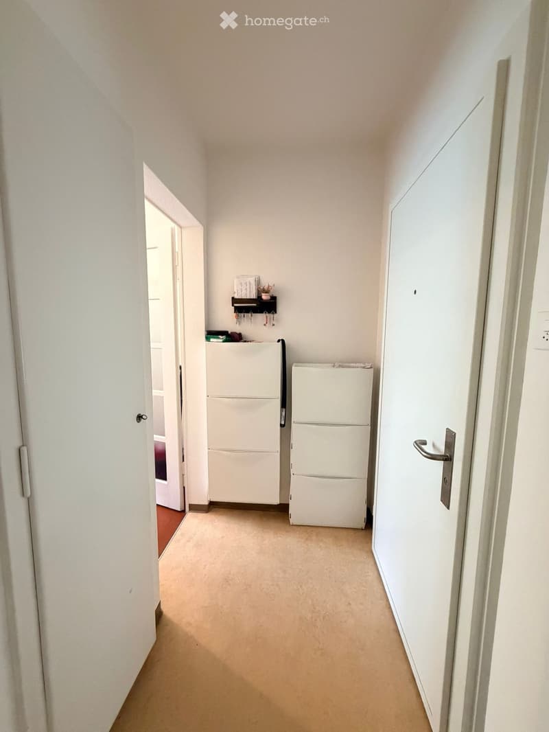 Empty hallway with beige carpet, white walls, and doors on both sides. A small shelf with a plant and hooks is visible on one wall, and a white refrigerator is partially seen in an adjacent room.
