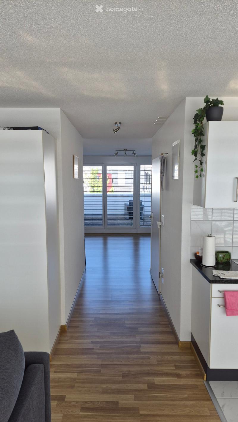 A modern hallway with wooden flooring, white walls, recessed lighting, and a view of a balcony through large glass doors.