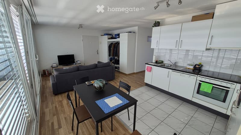 A modern, open-plan living and dining area with a grey sofa, a black dining table with chairs, a television, and a fully equipped kitchen featuring white cabinets, a sink, an oven, and a dishwasher.