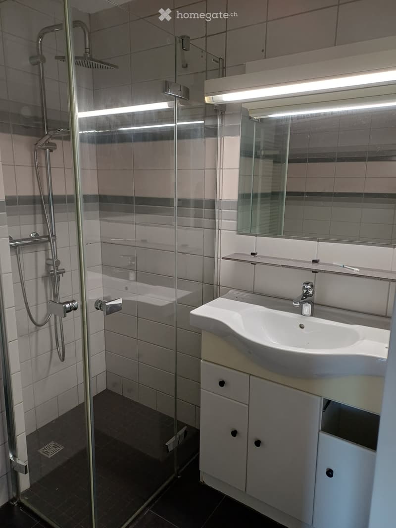 Modern bathroom with a glass-enclosed shower, a white sink with a modern faucet, and a mirrored cabinet above the sink.