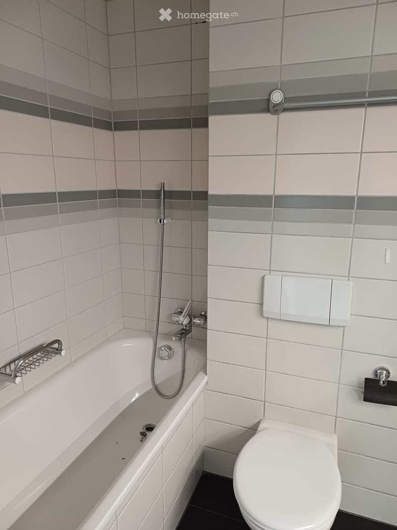 Modern bathroom with a bathtub, toilet, and shower hose. The walls are tiled in a combination of white and gray with horizontal stripes. Handrails are installed for safety.