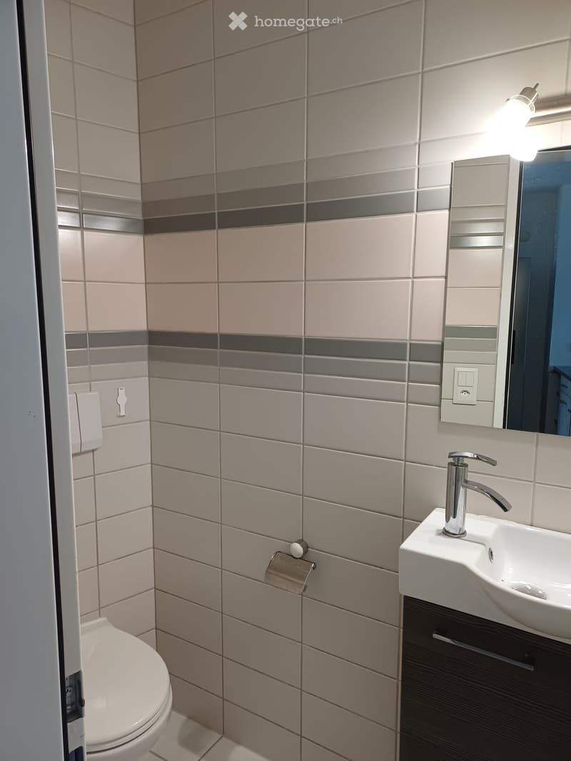 Modern bathroom with beige and grey tiled walls, a white toilet, a white sink with a chrome faucet, and a mirror above the sink.