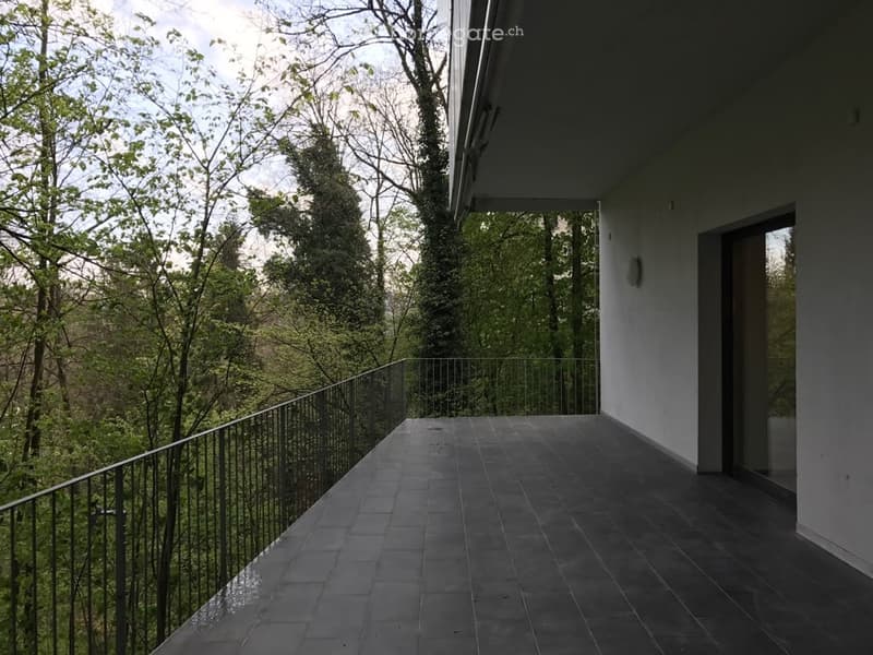 large balcony, tiled floor, metal railing, glass door, white walls, garden view