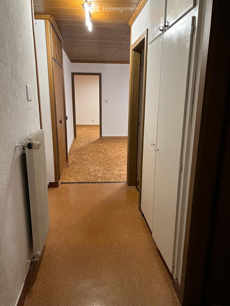 Empty hallway with wooden doors, carpeted floor, and white walls. Features a radiator on the left and a light fixture on the ceiling.