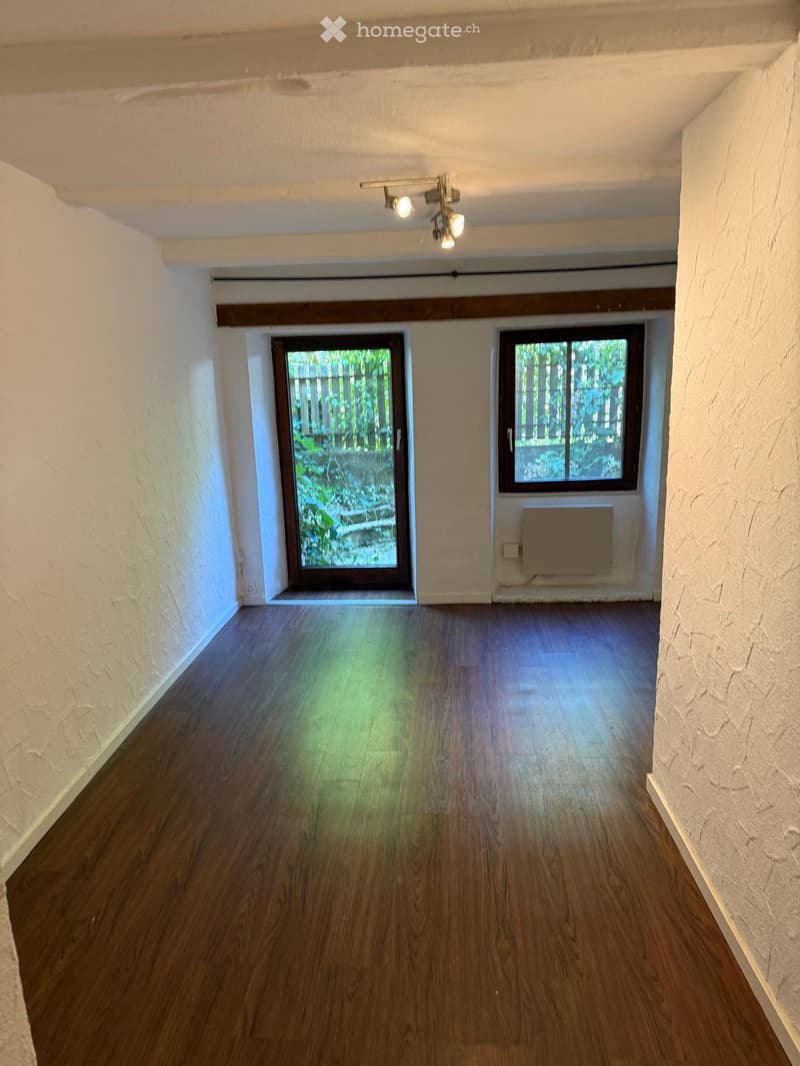 Empty hallway with wooden flooring, white walls, and a ceiling light fixture. Features a door leading outside and a window with a view of greenery.
