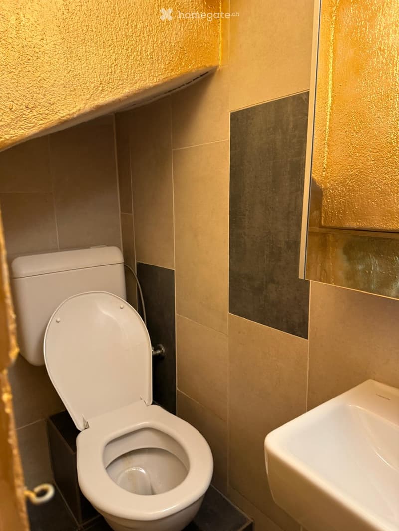Modern bathroom with a toilet, sink, and sleek, textured wall tiles in warm tones.
