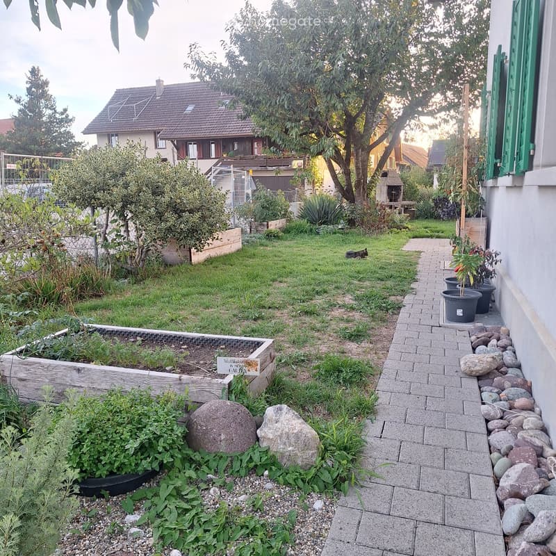Well-maintained garden with a paved pathway, raised garden beds, potted plants, and a small barbecue area. The garden features a mix of greenery, rocks, and a small cat resting on the grass.