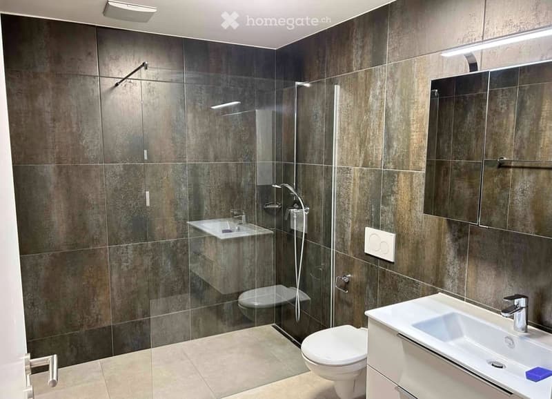 Modern bathroom with dark tiled walls, a glass-enclosed shower, a toilet, a sink with a mirror, and a small countertop sink.