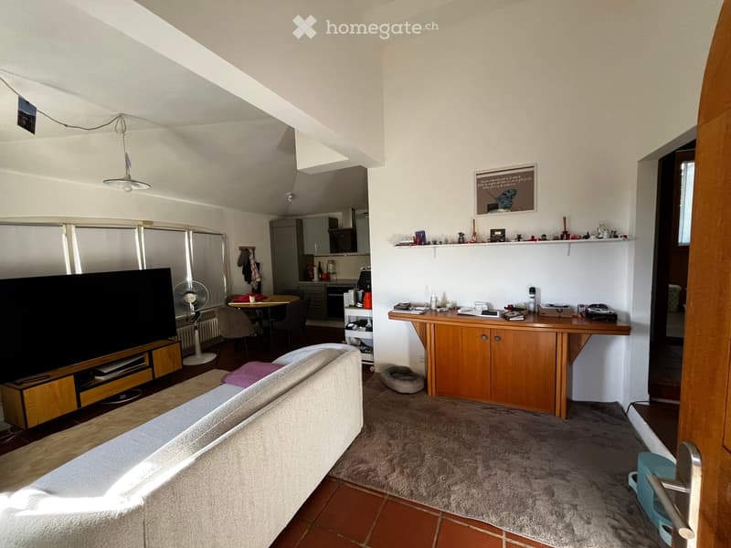 A well-lit living space with a sofa, a TV stand, a small table with chairs, a fan, a kitchen area with cabinets, a shelf with various items, and a pet bed.