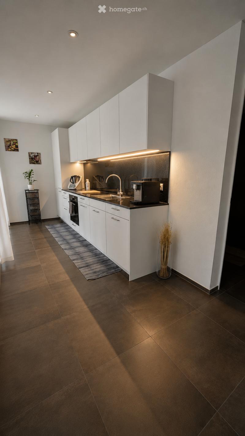 Modern kitchen with white cabinets, stainless steel appliances, dark countertops, and a small plant on a shelf.