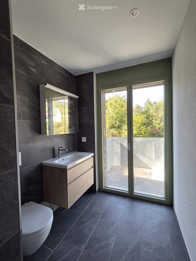 Modern bathroom with dark tiled walls and floor, a white sink with wooden cabinet, a toilet, and a large mirror. A sliding glass door leads to a balcony with outdoor tiles.