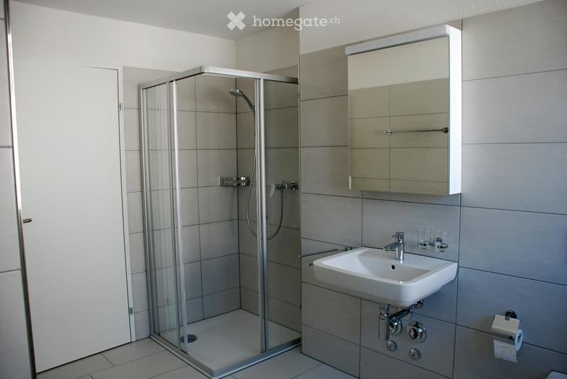 Modern bathroom with a white sink, chrome faucet, built-in mirror cabinet, glass-enclosed shower, and tiled walls and floor.