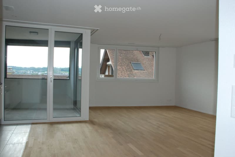 Empty room with wooden flooring, white walls, large sliding glass door, and a window overlooking a roof with a skylight.