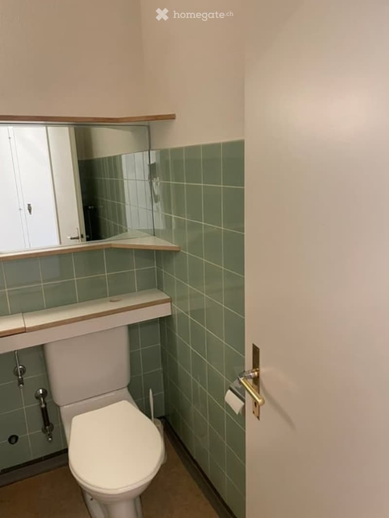 A small bathroom with green tiled walls, a white toilet, a mirror above a wooden shelf, and a door with a gold handle.