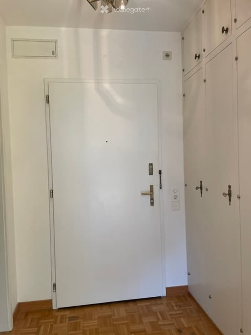 A narrow hallway with a white door and light wooden flooring, flanked by white cabinets with silver handles.