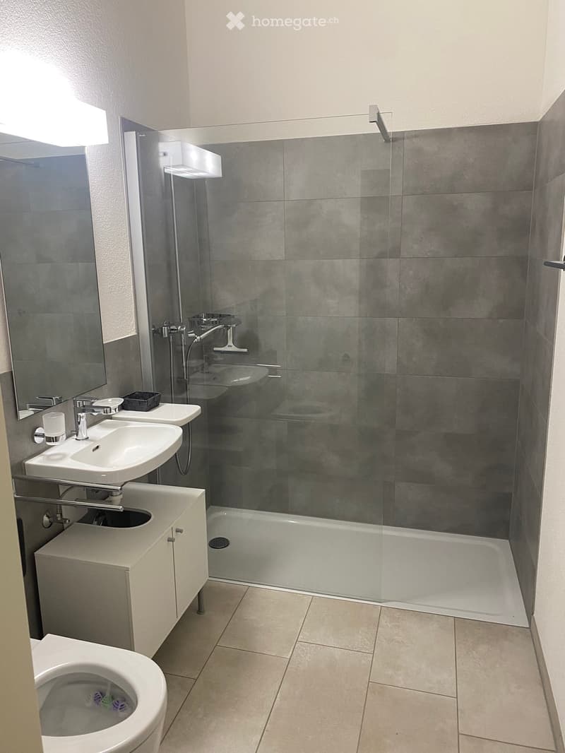 Modern bathroom with a white sink, mirror, cabinet, toilet, bathtub, and glass-enclosed shower area.
