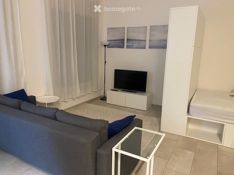 A modern living room with a grey sofa, coffee table, TV stand, floor lamp, and a bed in the corner.