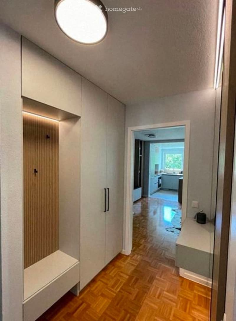 Modern hallway with wooden flooring, built-in storage units, and a bright circular ceiling light. The hallway leads to an open living space with visible furniture and a large window.