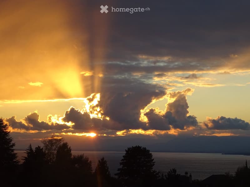 A scenic view of a sunset over a body of water, with silhouettes of trees and distant mountains in the foreground.
