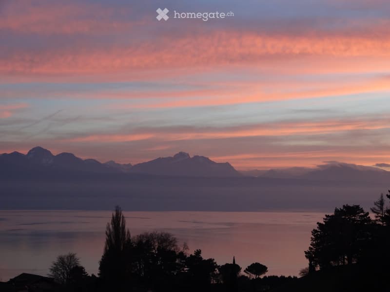 Scenic view of a lake with mountains in the background during sunset, with silhouettes of trees in the foreground.