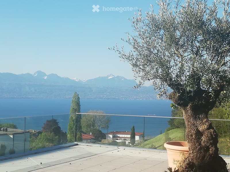 Balcony with glass railing, tiled floor, olive tree in a pot, scenic view of lake and mountains.