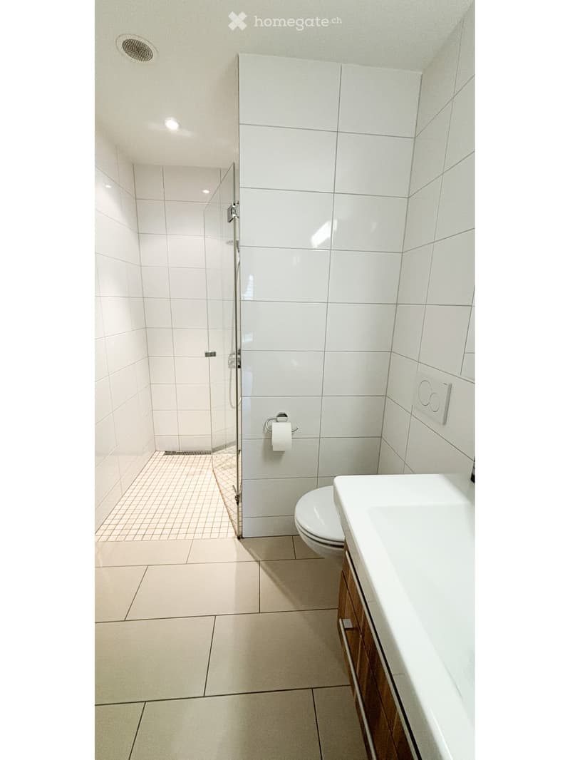 Modern bathroom with white tiles, a glass-enclosed shower, a toilet, a sink with a wooden cabinet, and a toilet paper holder.