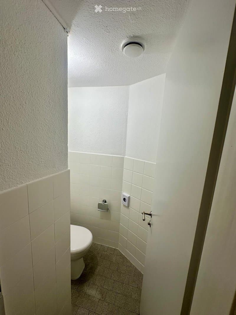 Small, clean bathroom with white tiled walls and floor, a toilet, and a toilet paper holder. The ceiling has a light fixture, and the door is slightly open.
