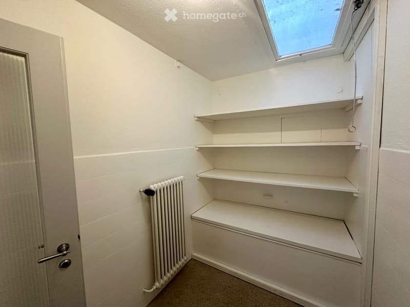 Empty room with white walls, built-in shelves, a radiator, and a skylight window.