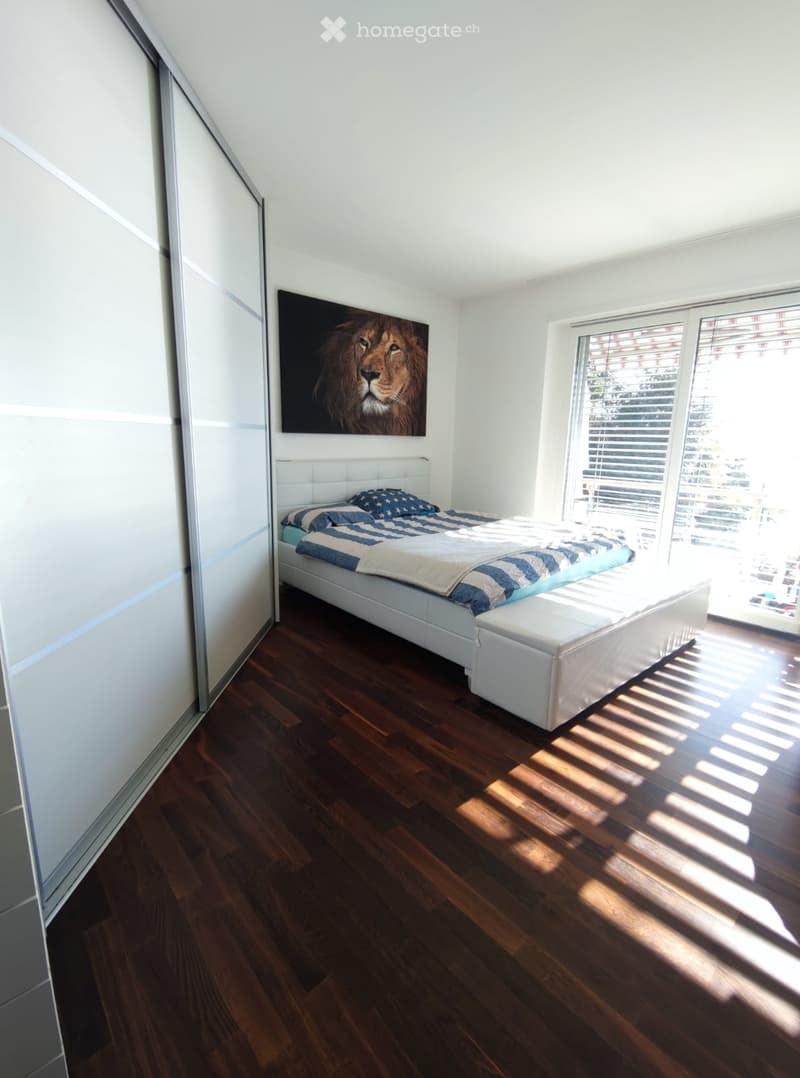 Modern bedroom with wooden flooring, white bed frame, blue and white bedding, large window with blinds, and a picture of a lion on the wall.