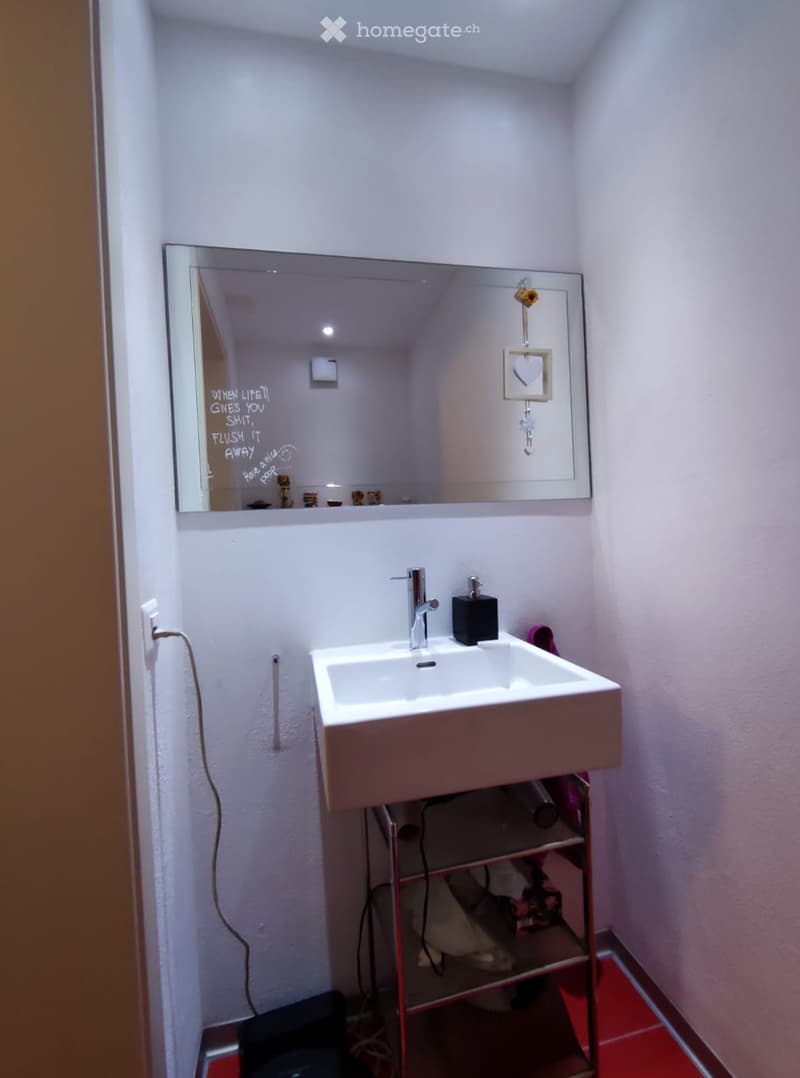 Modern bathroom with a white sink, chrome faucet, large mirror, and a small shelf above the sink. The floor is red-tiled, and there is a small storage compartment under the sink.