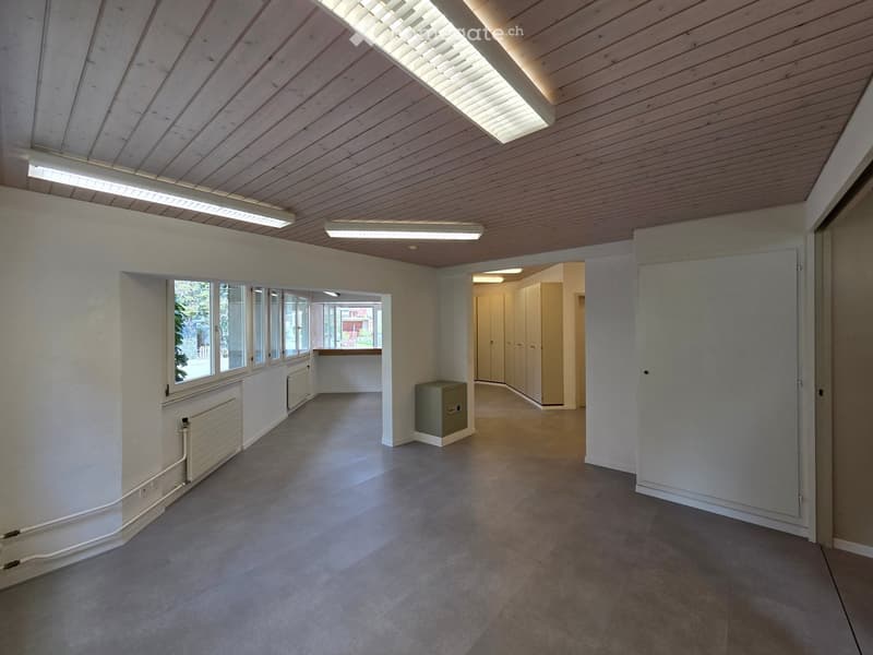 empty room, white walls, gray floor, three windows, two radiators, ceiling lights, door