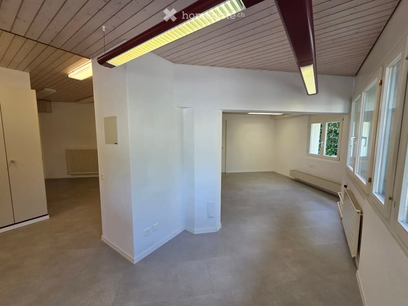 empty room, white walls, gray floor, white ceiling, windows, radiators