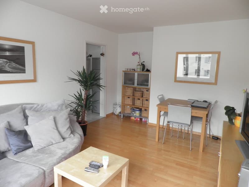 A modern living room with a grey sofa, coffee table, dining table, chairs, laptop, and decorative plants.