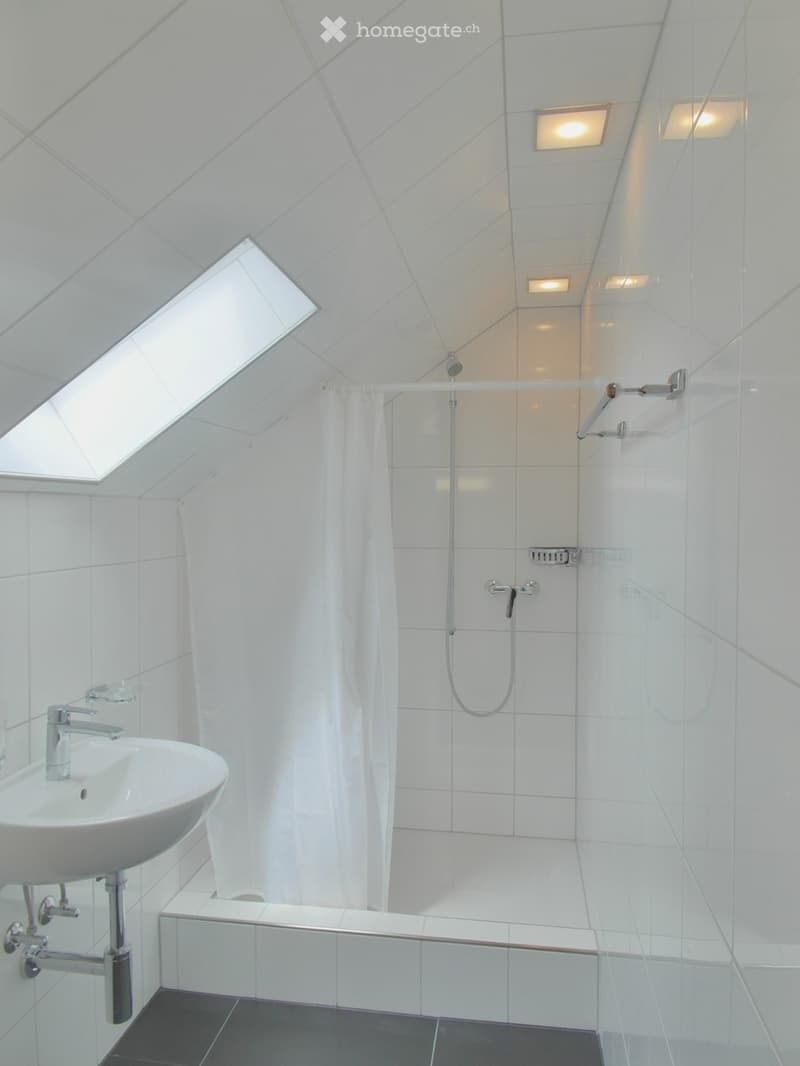 Modern bathroom with white tiles, a corner shower, a sink with a modern faucet, and a skylight window providing natural light.
