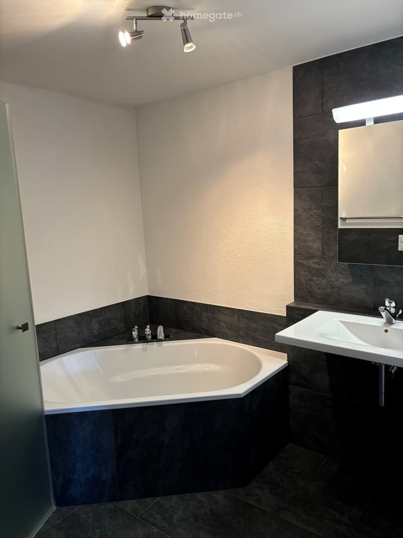 Modern bathroom with a corner bathtub, a white sink, and a large mirror. Dark tiled walls and floor, with sleek lighting fixtures.
