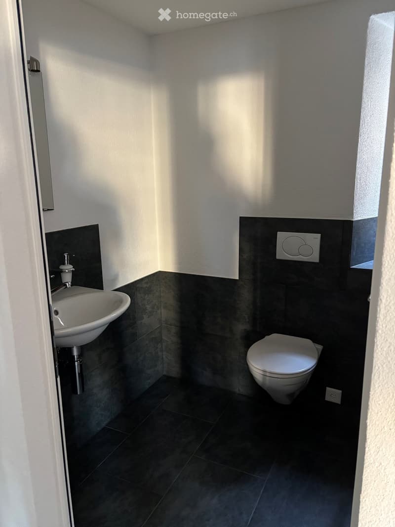 Modern bathroom with dark grey tiles, white sink, and toilet. Features a sleek faucet and a wall-mounted light switch.