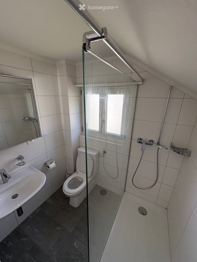 Modern bathroom with a glass-enclosed shower, toilet, sink, and mirror. Features tiled walls and dark tiled flooring.